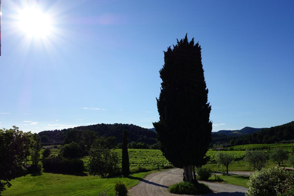 Le Mas En Provence Bed and Breakfast Entrechaux Exteriör bild